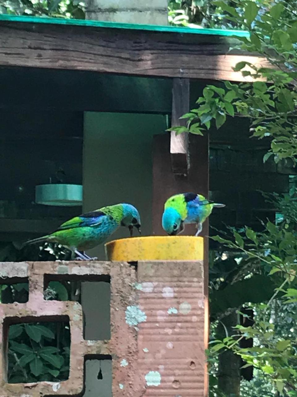 Itamambuca Casas,Suites Ubatuba Buitenkant foto